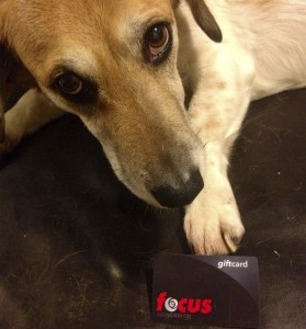 Chulo-giftcardcrop