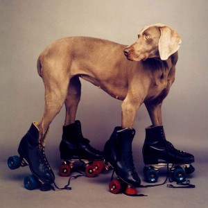 rollerrover